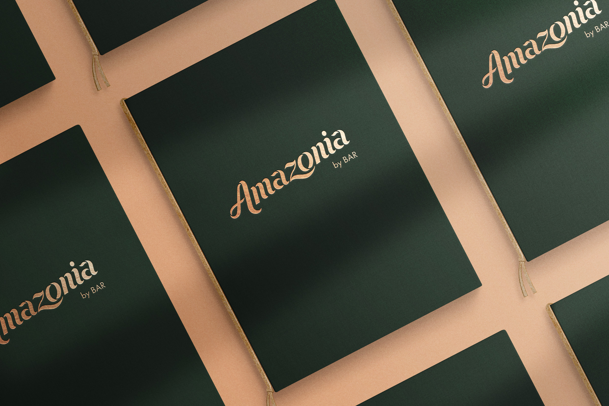 Amazonia_menus2